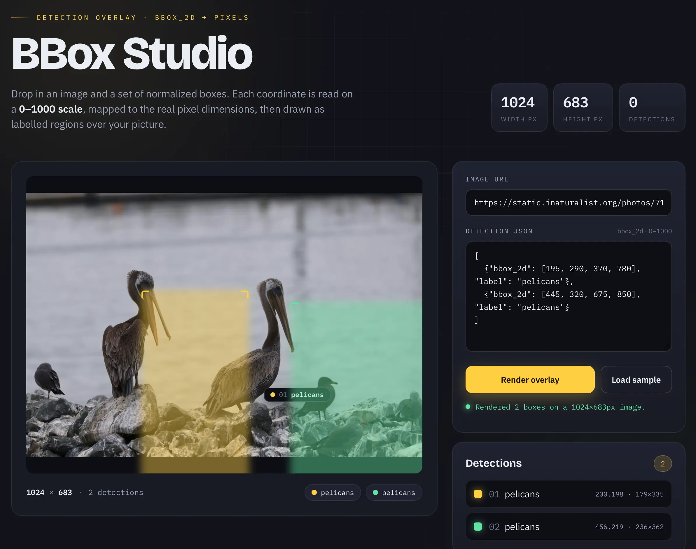 BBox Studio 截图 - 界面很扎实，但黄绿框没有覆盖住鹈鹕。