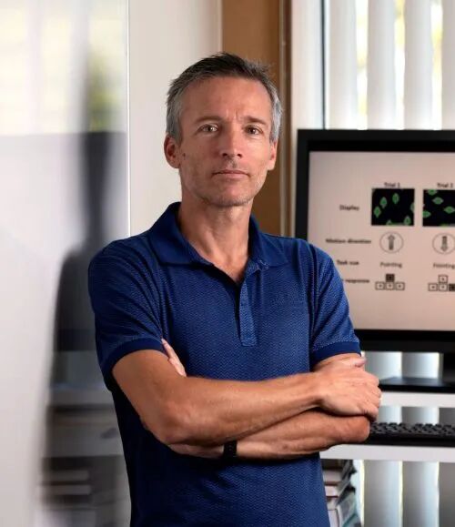 马克·斯泰弗斯，加州大学欧文分校认知科学系教授