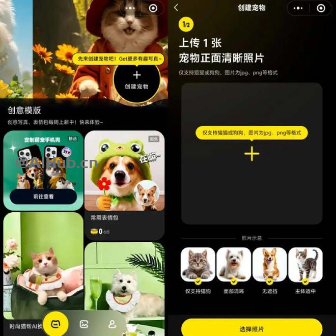 哎呦宠物