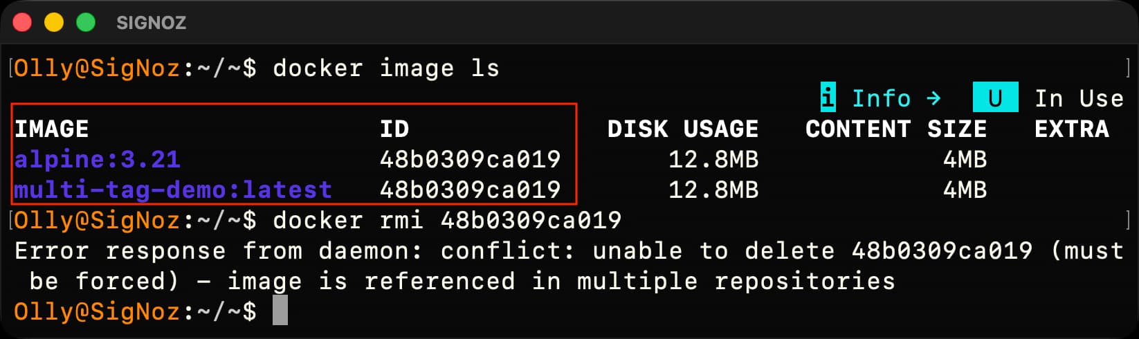 Terminal showing alpine:3.21 and multi-tag-demo:latest sharing an image ID, followed by a multiple-repositories conflict