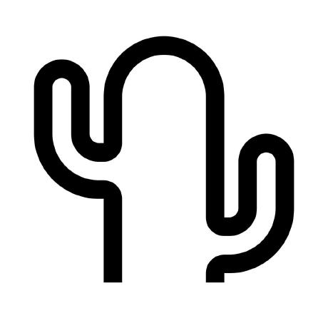 Cactus Needle