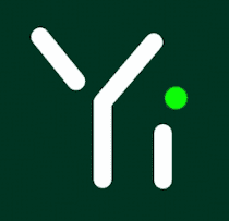 Yi-Lightning