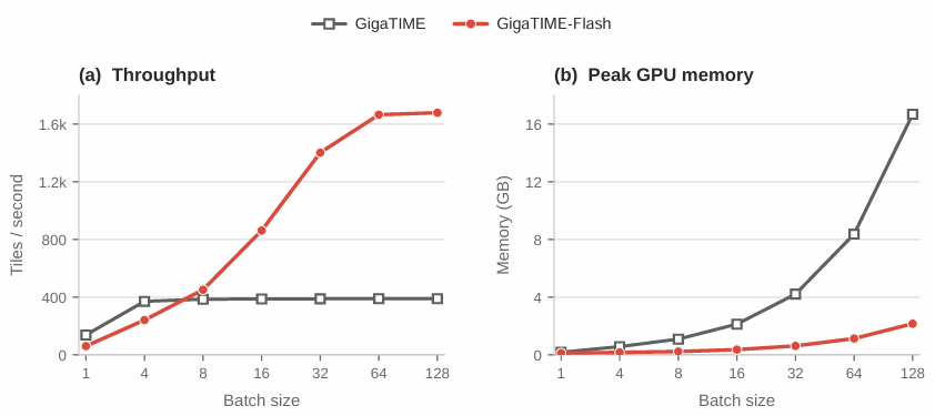 Figure 4: GigaTIME efficiency scaling. Left: throughput (tiles/sec) vs. batch size. Right: peak GPU memory (GB) vs. batch size. GigaTIME-Flash scales to over 1,600 tiles/sec while using a fraction of the memory.