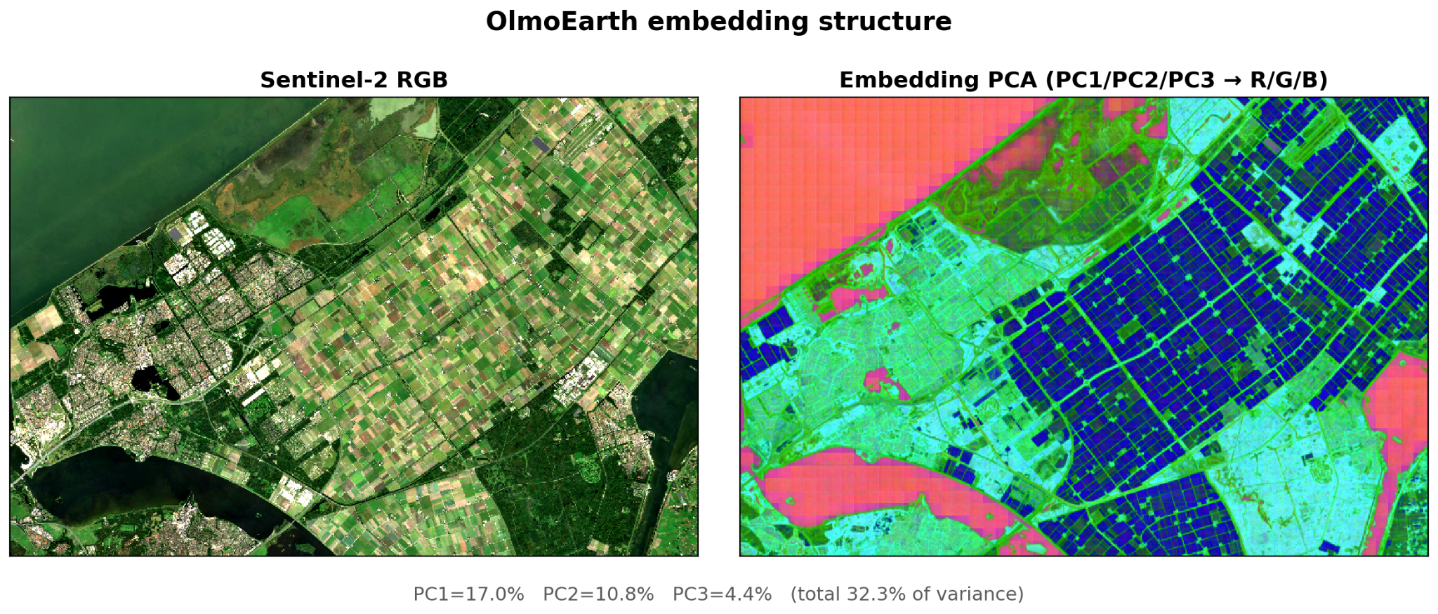 OlmoEarth embedding structure over Flevoland, the Netherlands: Sentinel-2 RGB beside a PCA false-color image mapping PC1, PC2, and PC3 to red, green, and blue, which reproduces the polder parcel grid