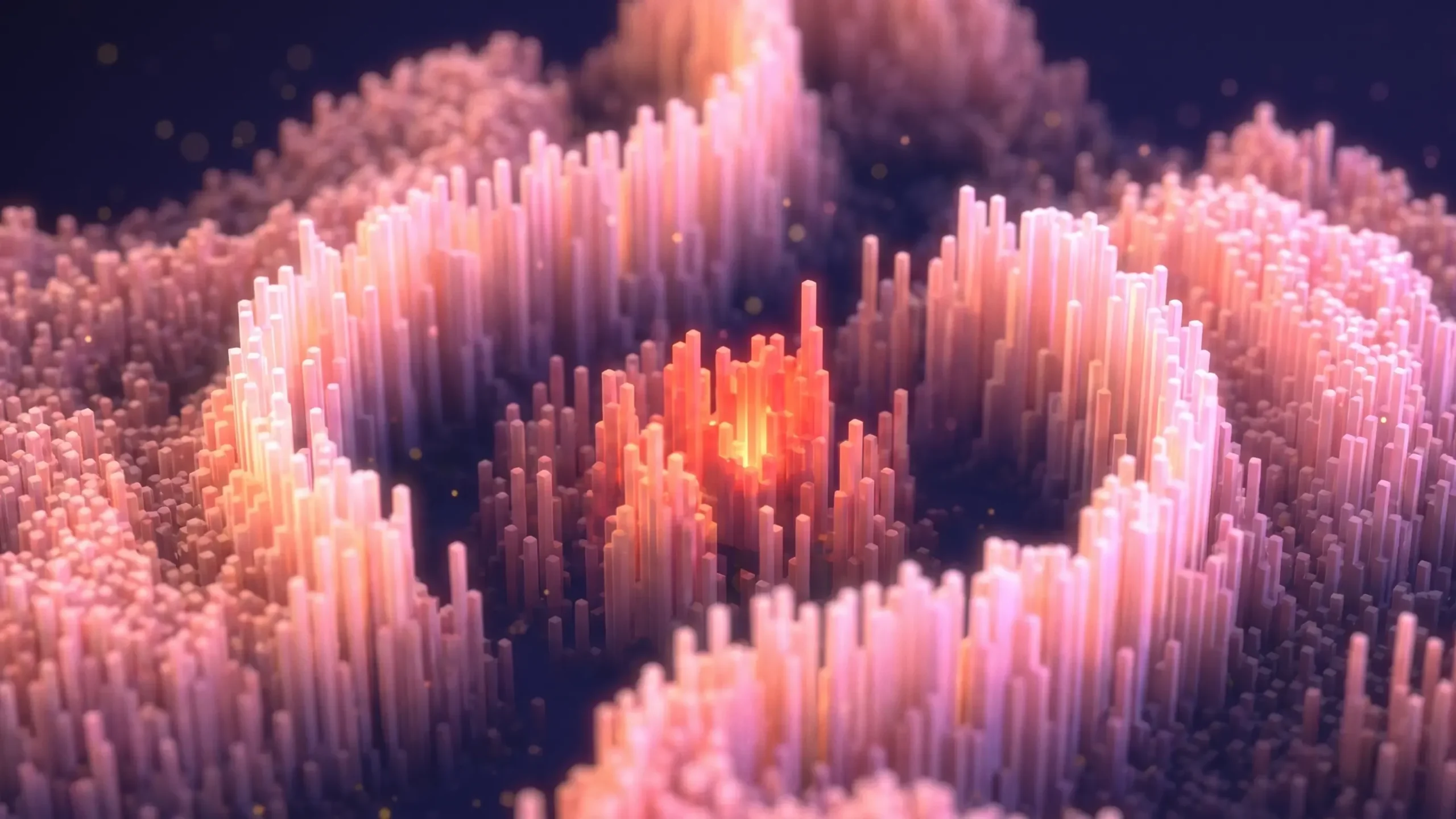 Image描述