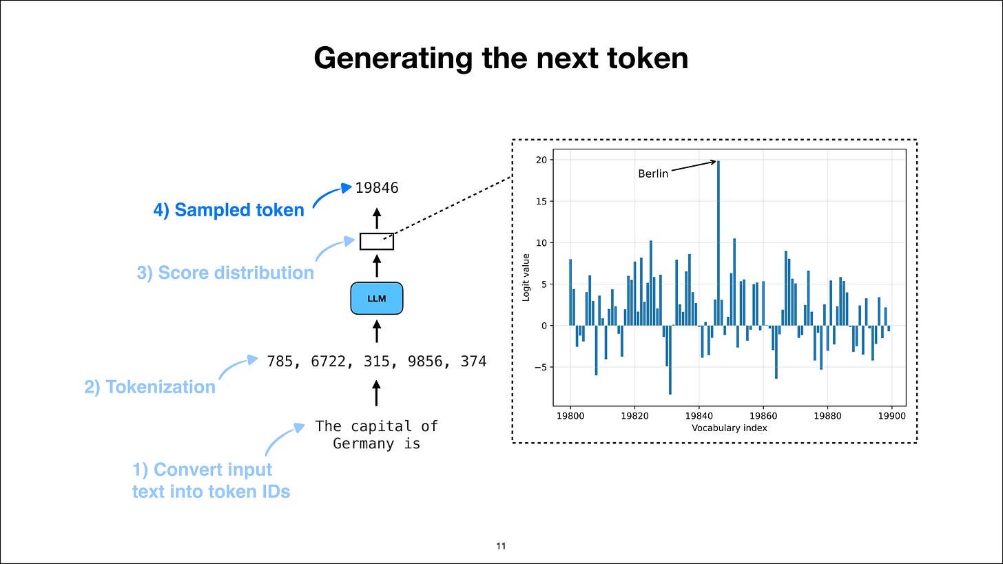 第 4 步：从分数分布中采样一个 token