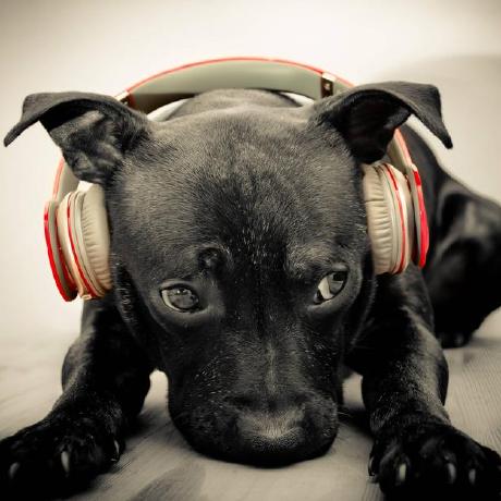 Mp3tag