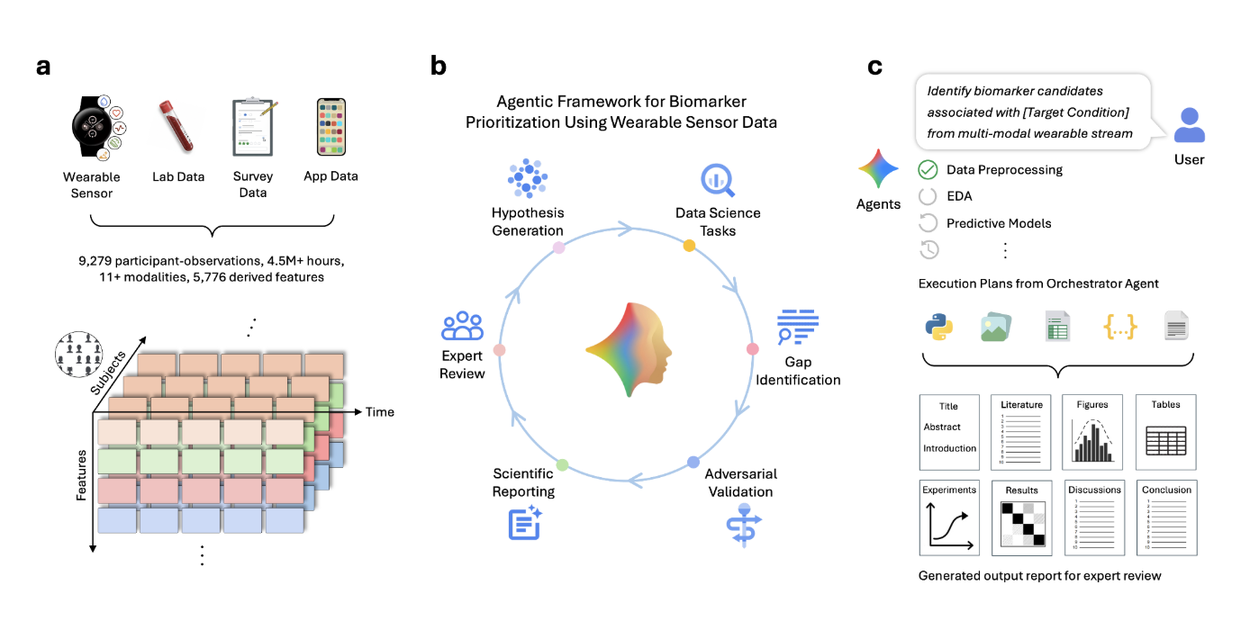 A conceptual diagram illustrating a cyclical AI-driven biomarker discovery process analyzing wearable and clinical data.