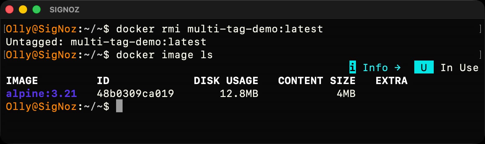 Terminal showing multi-tag-demo:latest being untagged while alpine:3.21 remains available