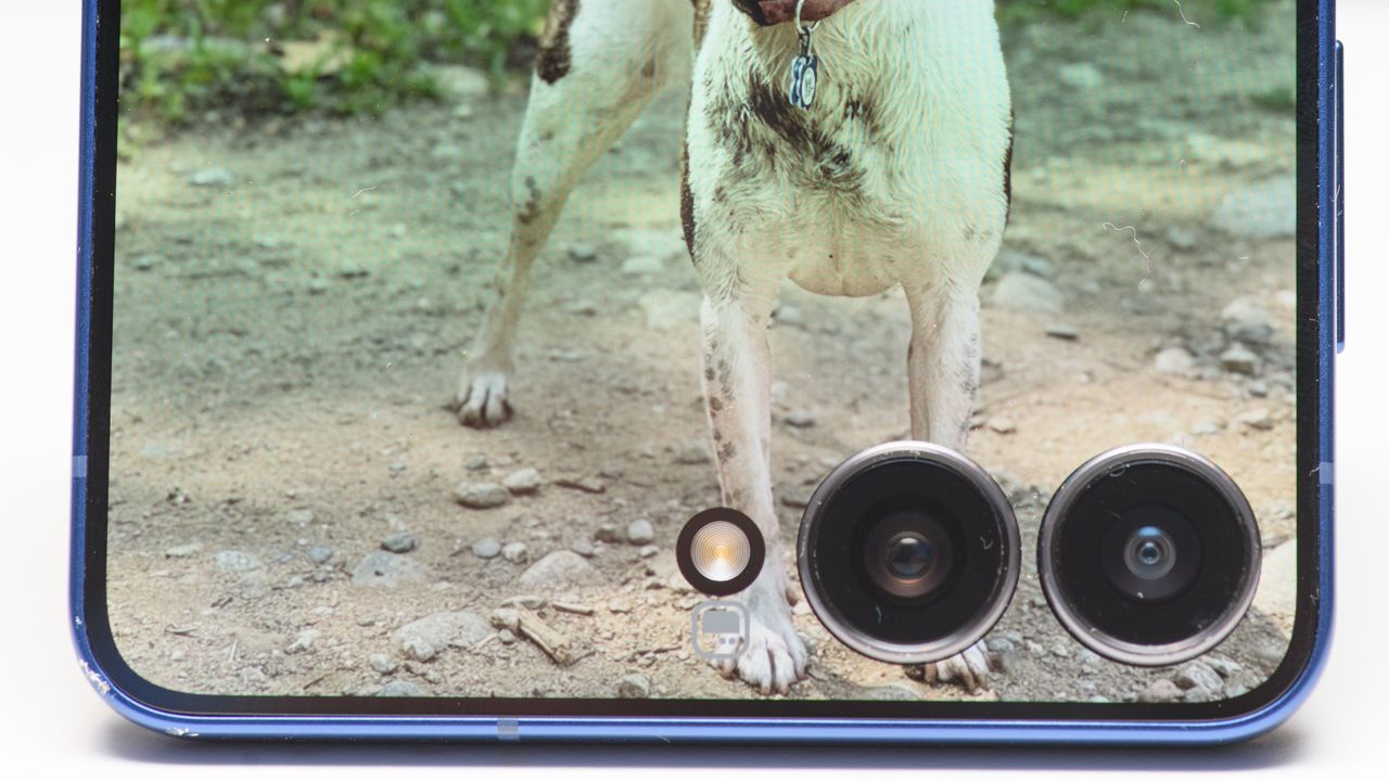 Samsung Galaxy Z Flip 7 in blue showing a close up of the cover display bezels and camera lenses with a dirty filthy dog named Beesly on the display
