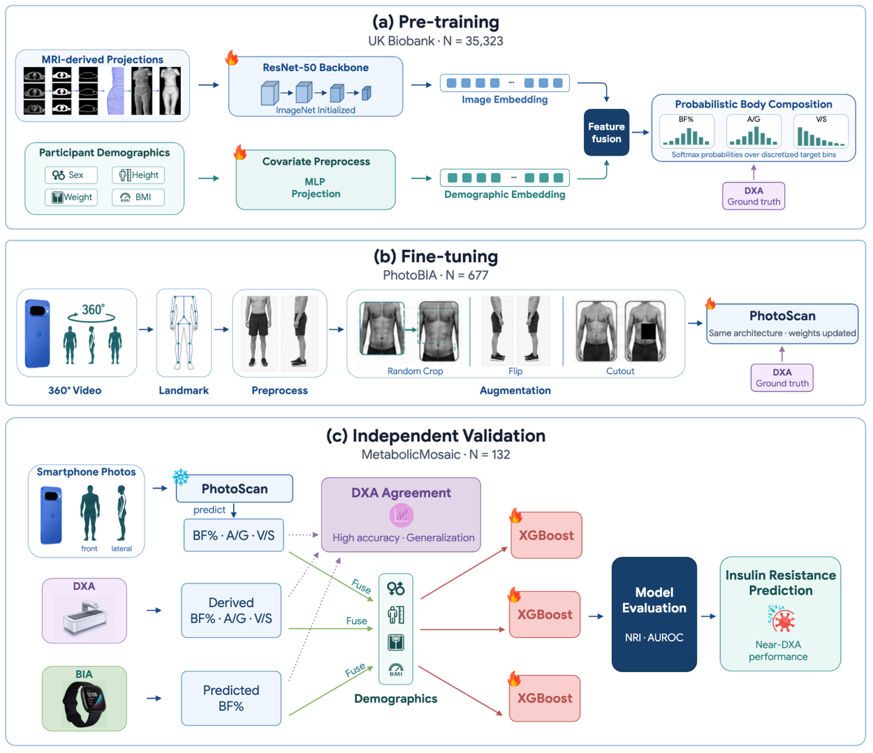 PhotoScanIR_Overview