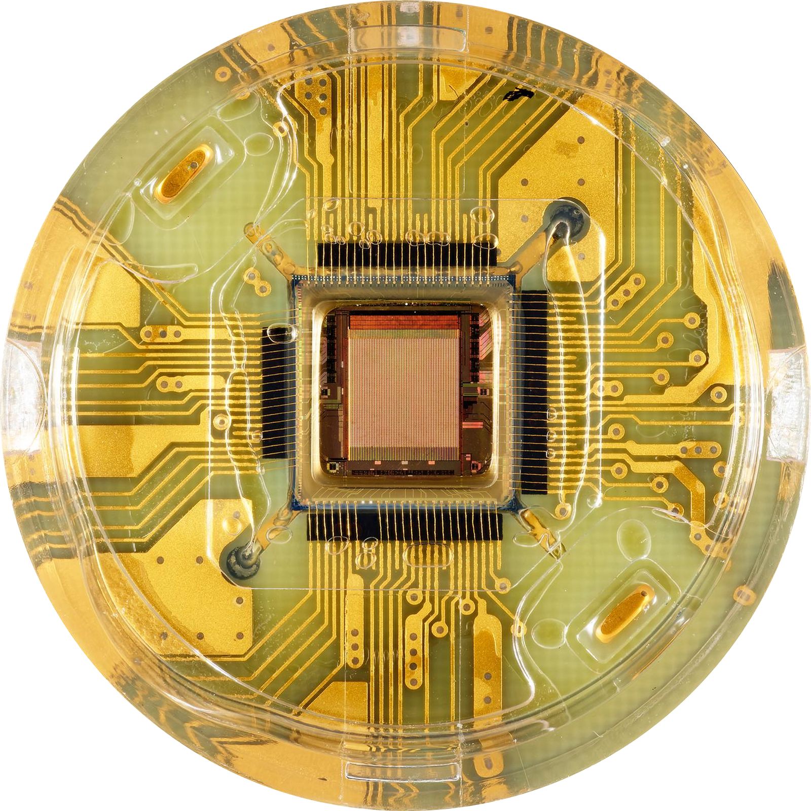 MEA neuron chip closeup.