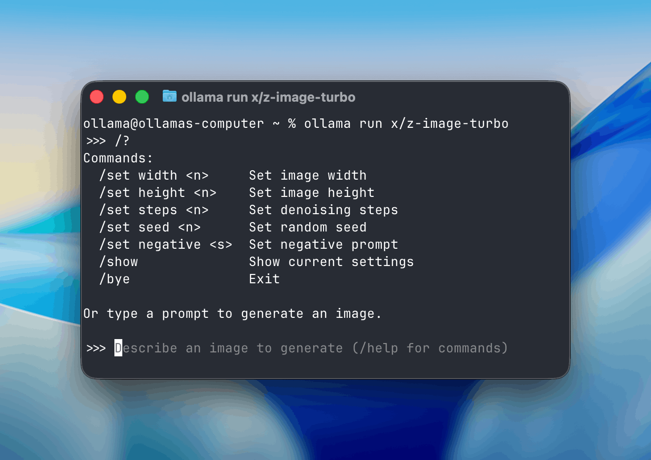Screen capture of Ollama’s image generation settings from the terminal