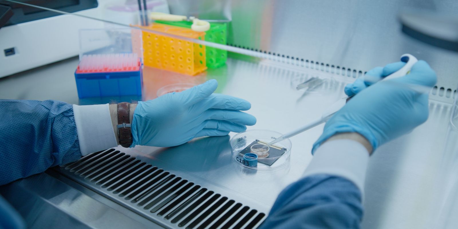 Scientist working on MEA neuron chip.