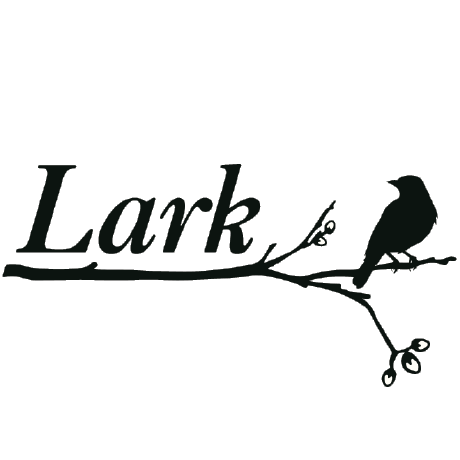 vscode-lark