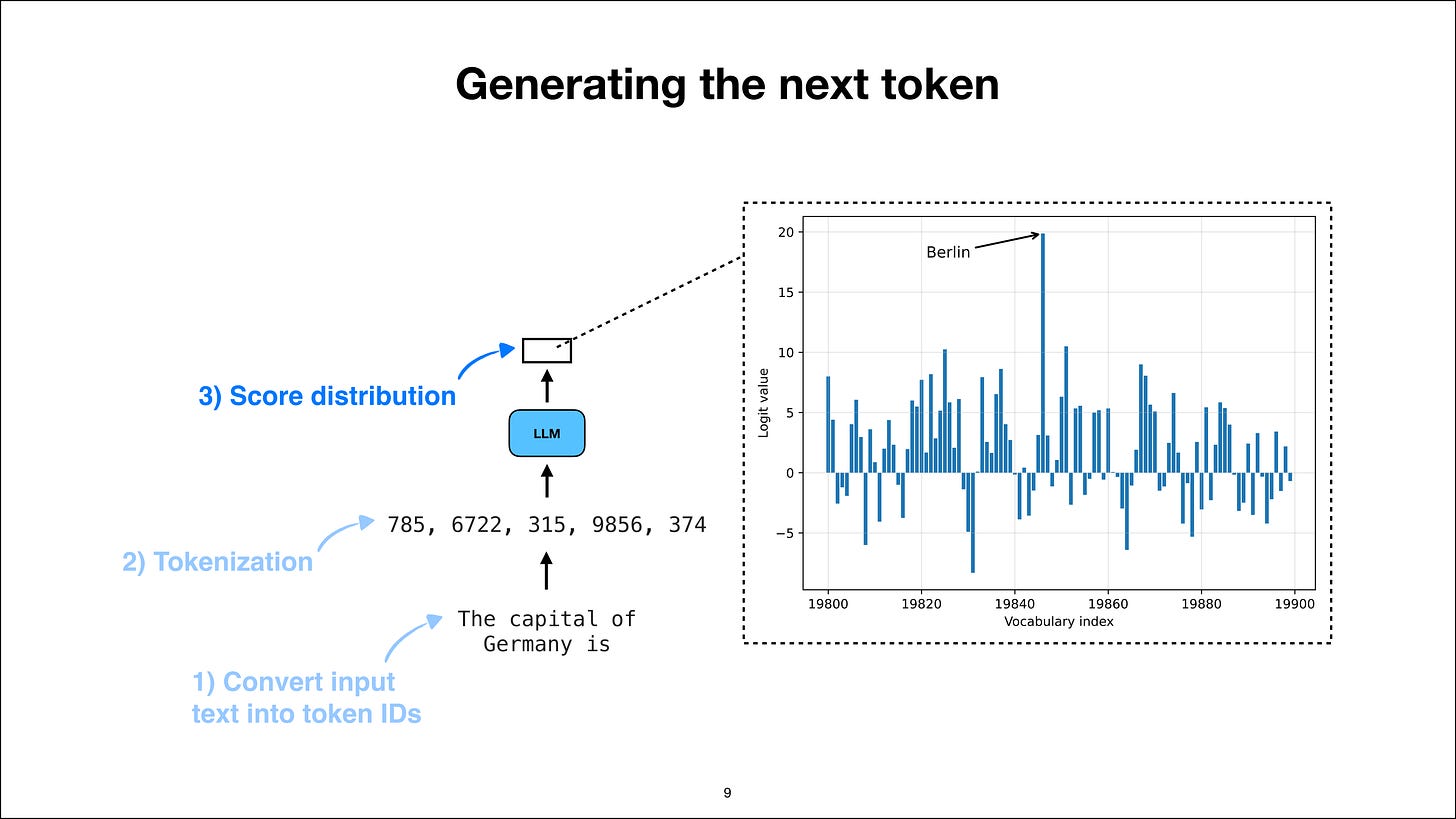 第 3 步：获取下一 token 的分数分布